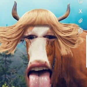 Meet your Posher, Sean